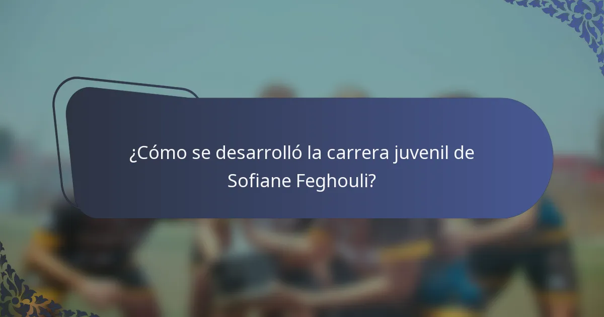 ¿Cómo se desarrolló la carrera juvenil de Sofiane Feghouli?